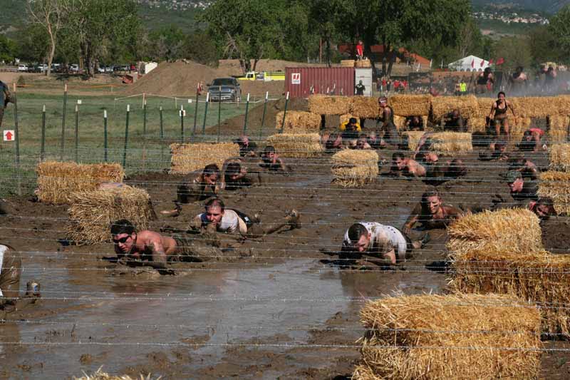 Barbed Wire Crawl